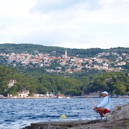 Prázdninový dům House Vinka *