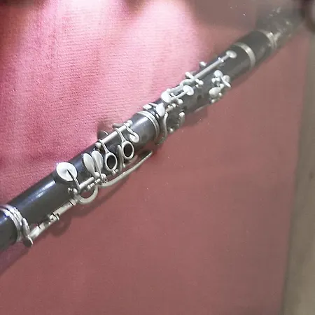 Casa de Férias House Vinka Selca (Brac)